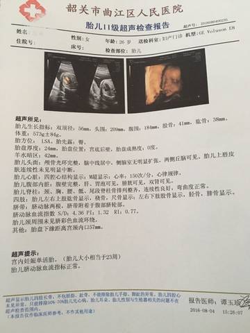 journal_insert_pic_544543857