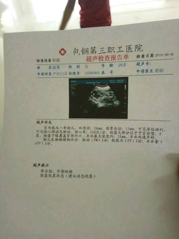 journal_insert_pic_546984882