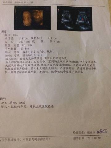 journal_insert_pic_547017324