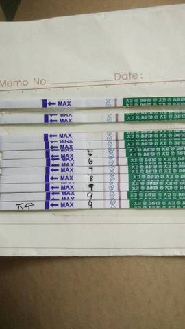 journal_insert_pic_548092256