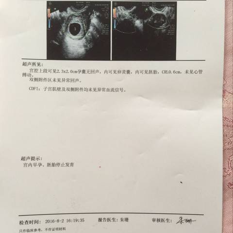 journal_insert_pic_547733139