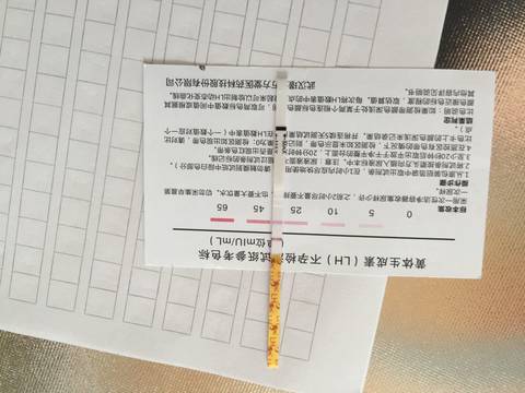 journal_insert_pic_547491776
