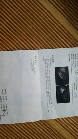 journal_insert_pic_548203295