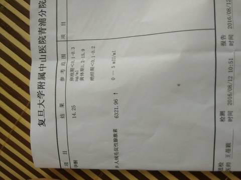 journal_insert_pic_550359510