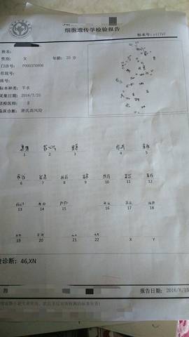 journal_insert_pic_551890450