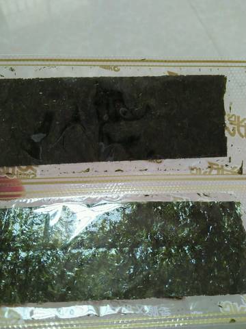 journal_insert_pic_551614095
