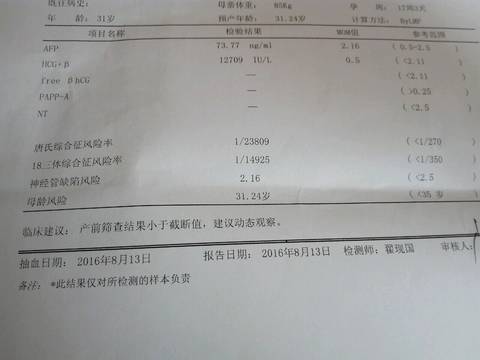 journal_insert_pic_553650054