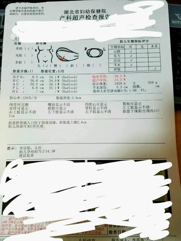 journal_insert_pic_555463243