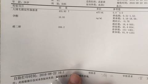 journal_insert_pic_556585652