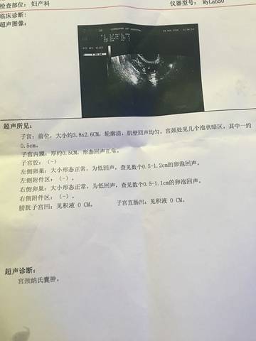 journal_insert_pic_559072767