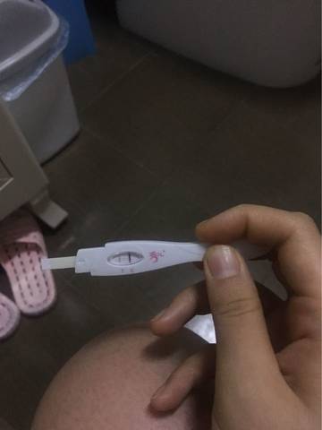 journal_insert_pic_558929240