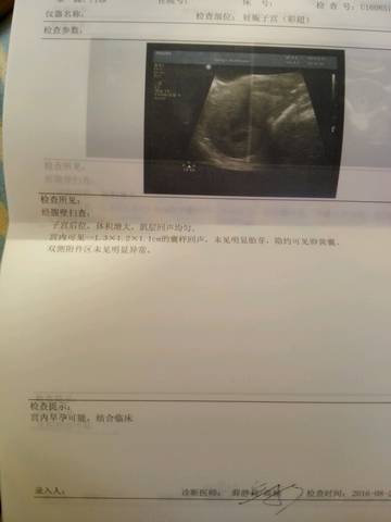 journal_insert_pic_559925333