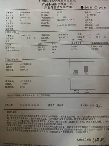 journal_insert_pic_560704831