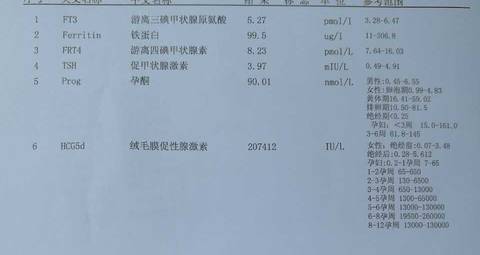 journal_insert_pic_562107451