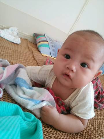 journal_insert_pic_562874435