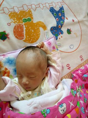 journal_insert_pic_562842604