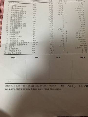journal_insert_pic_563900633