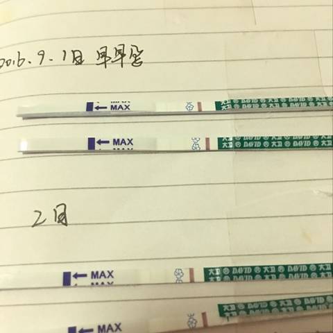 journal_insert_pic_564637388