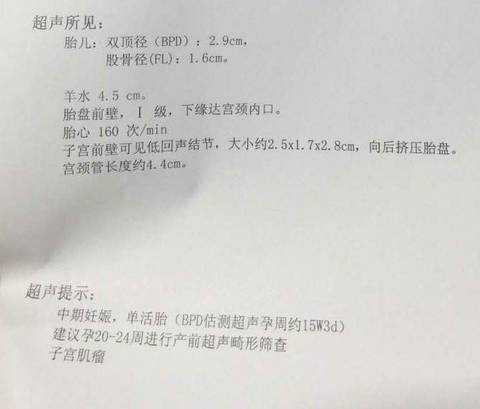 journal_insert_pic_566314931