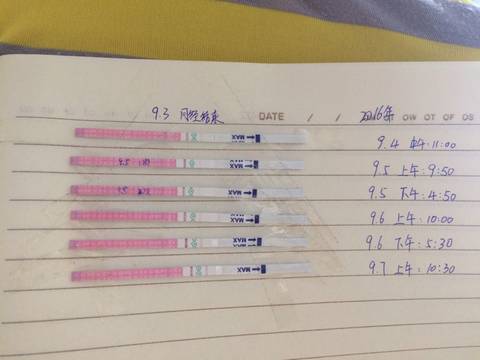 journal_insert_pic_566709362