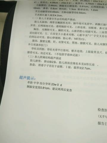 journal_insert_pic_567908916