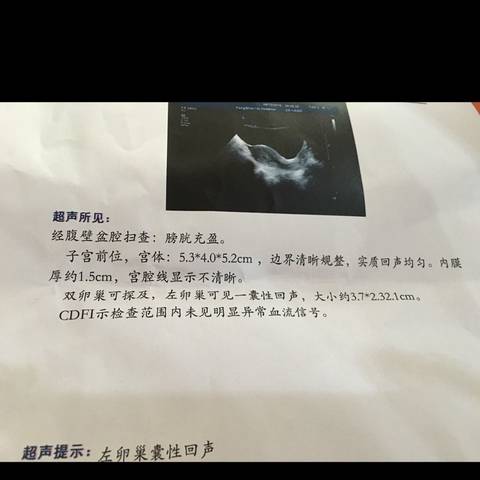journal_insert_pic_568451720