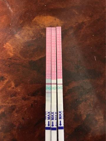 journal_insert_pic_569014347