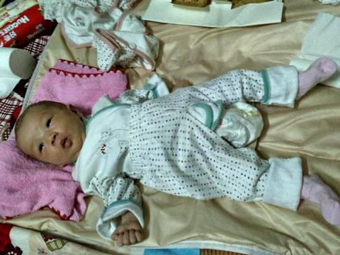 journal_insert_pic_569058663