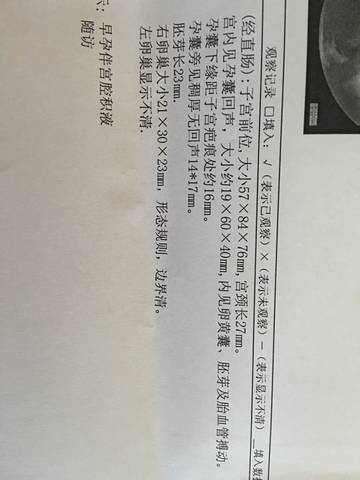 journal_insert_pic_569927415