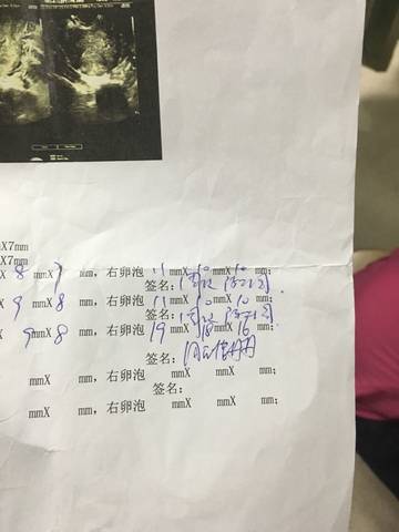 journal_insert_pic_569896201