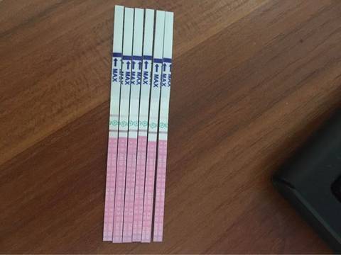 journal_insert_pic_570980363