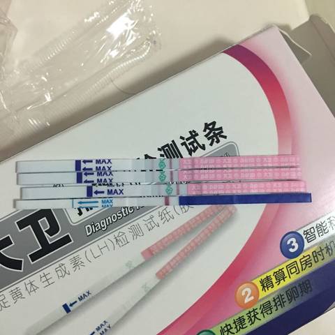 journal_insert_pic_571693339