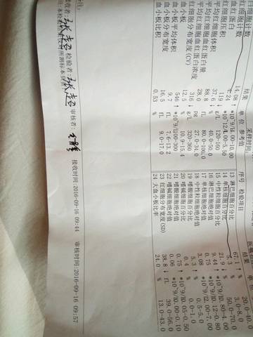 journal_insert_pic_572058470