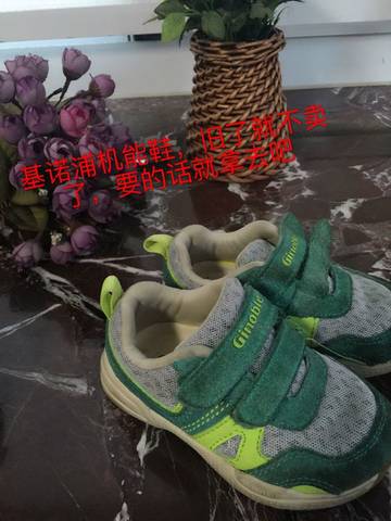 journal_insert_pic_572724320