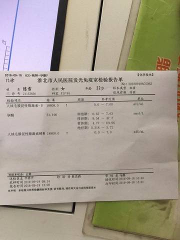 journal_insert_pic_573308319