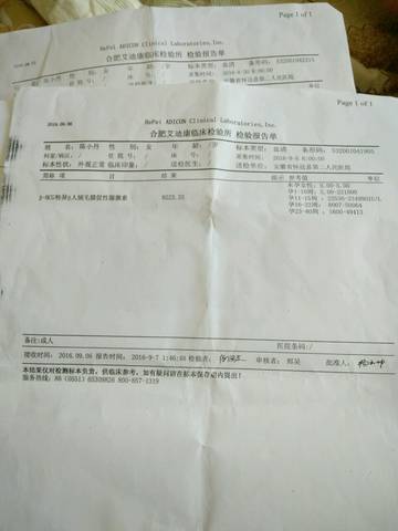 journal_insert_pic_574478024