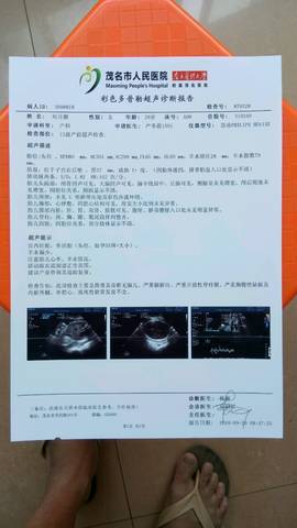 journal_insert_pic_574412427