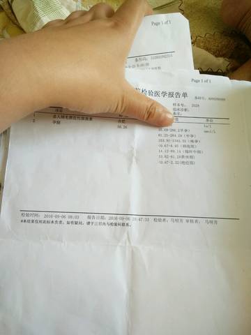 journal_insert_pic_574478016