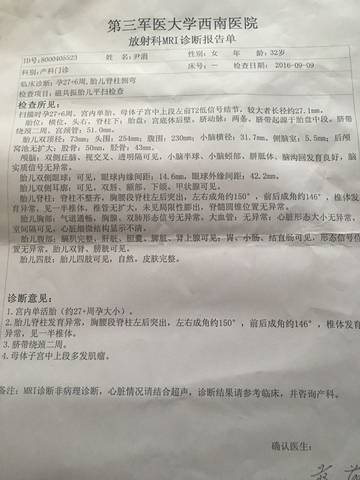 journal_insert_pic_574437255