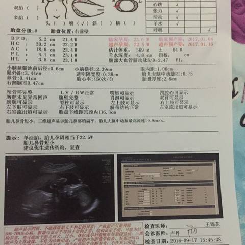 journal_insert_pic_575287893