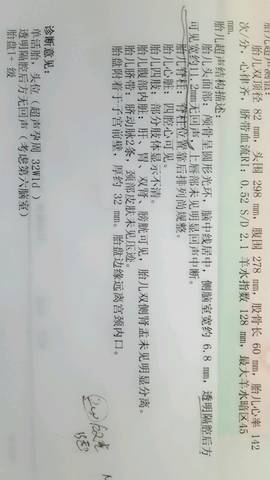 journal_insert_pic_574923893
