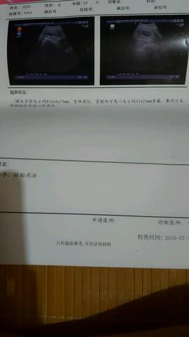 journal_insert_pic_576222032
