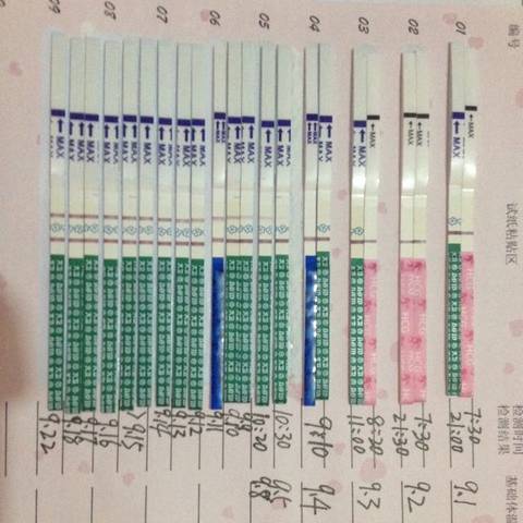journal_insert_pic_576833096