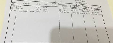 journal_insert_pic_577351896