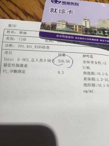 journal_insert_pic_577487985