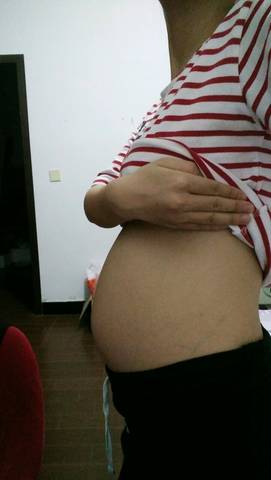 journal_insert_pic_578421305
