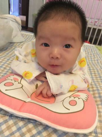 journal_insert_pic_579422553