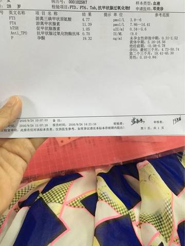 journal_insert_pic_579423668