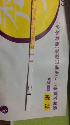 journal_insert_pic_580317876