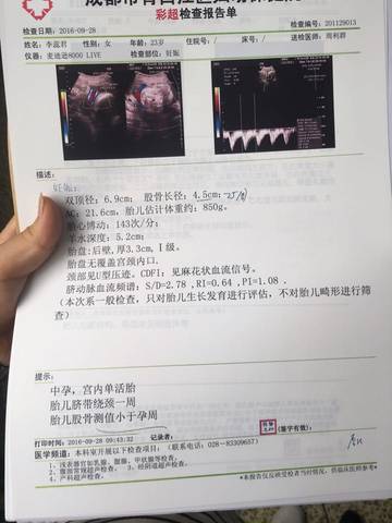journal_insert_pic_580076918